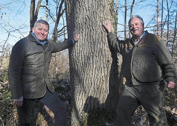 ILS VENDENT LE CARBONE EN FORET