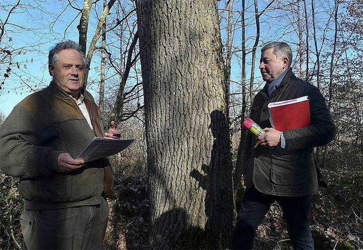 Carbon Forest permet à l’ACO de compenser le carbone des 24 Heures du Mans

Carbon Forest compense les émissions de carbone. A sa tête six forestiers dont le Sabolien Hubert Guillais. Parmis les clients : l’ACO qui compense le carbone émis par les voitures des 24 Heures Du Mans.