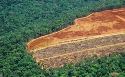 COMMENT LA PROTECTION DE LA BIODIVERSITE DES ECOSYSTEMES FORESTIERS ET AGRICOLE PERMET DE LUTTER CONTRE LES PANDEMIES