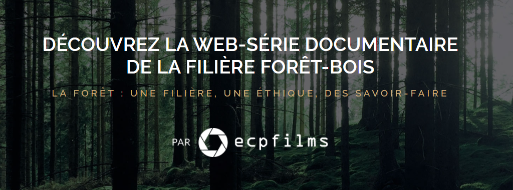 CARBON FOREST invité dans la Web-Série sur la filière Forêt-Bois