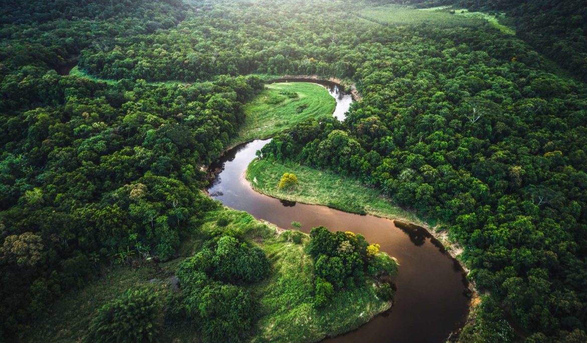 L’avenir de la Forêt Amazonienne