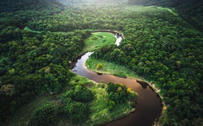 L’avenir de la Forêt Amazonienne